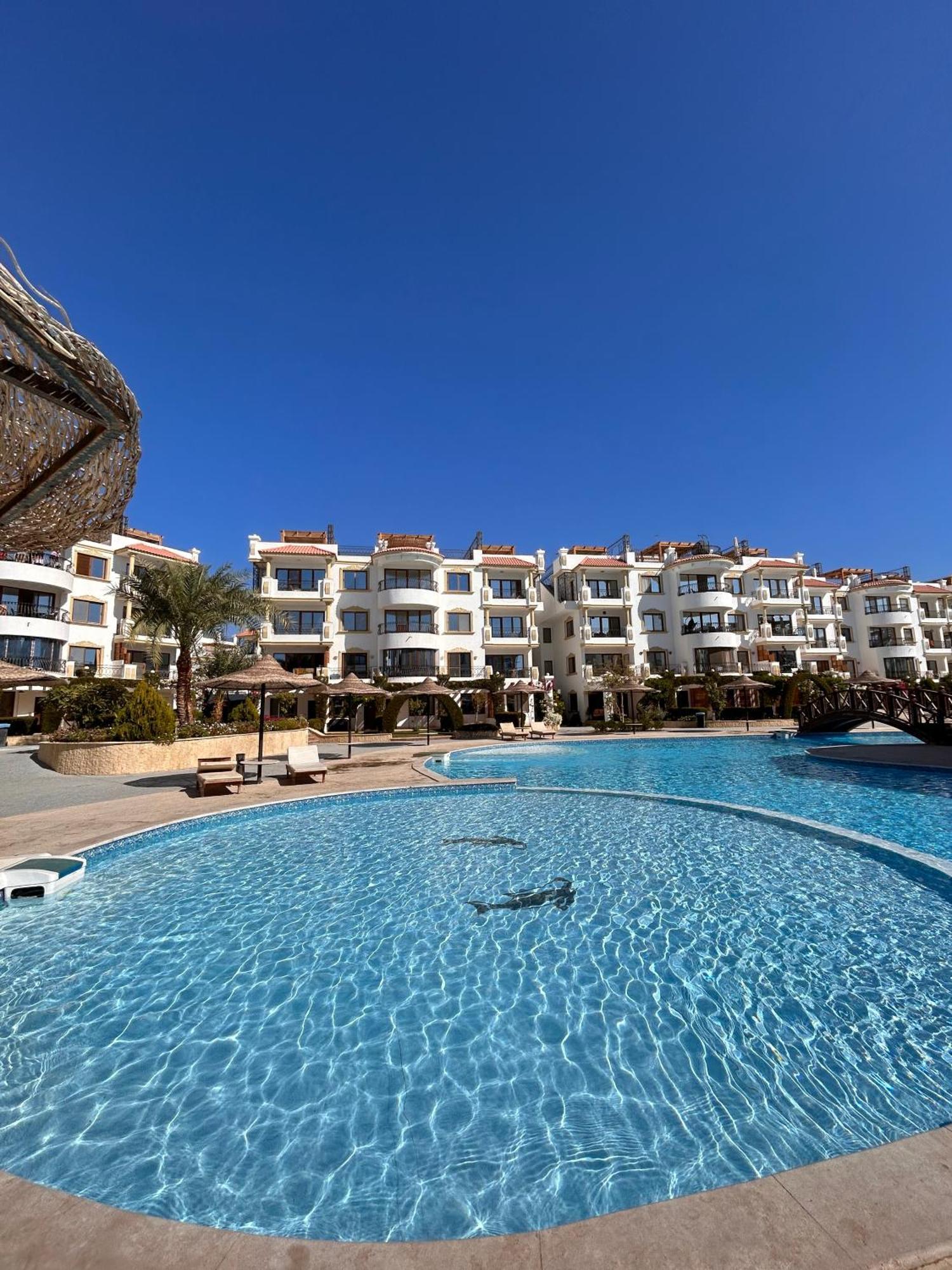 Cosy Studio On The First Floor With Lovely Terrace And Personal Garden Area, Pool View And Free Beach Access In Sharm Hills Resort Zewnętrze zdjęcie