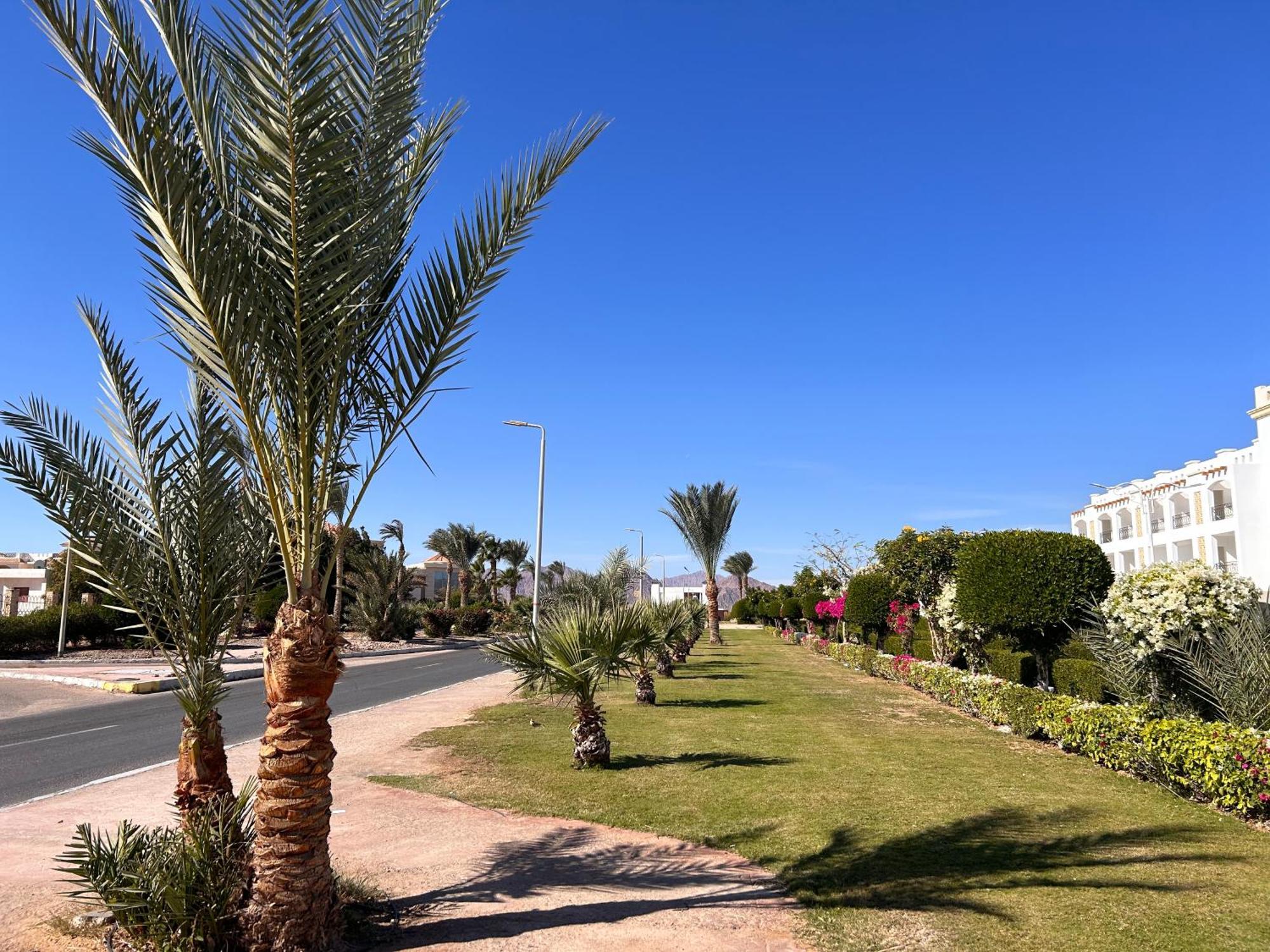 Cosy Studio On The First Floor With Lovely Terrace And Personal Garden Area, Pool View And Free Beach Access In Sharm Hills Resort Zewnętrze zdjęcie